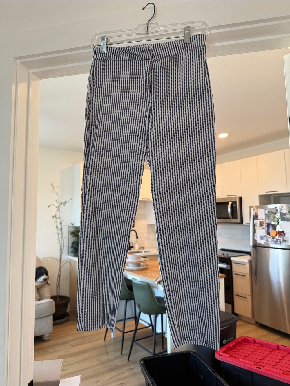 Rachel Zoe Navy and White Striped Pants with Gold Accent
